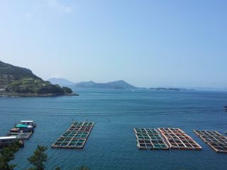 農林水産業