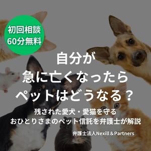 自分が急に亡くなったらペットはどうなる？残された愛犬・愛猫を守るおひとりさまのペット信託を弁護士が解説