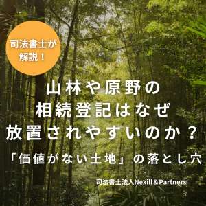 山林や原野の相続登記はなぜ放置されやすいのか？―「価値がない土地」の落とし穴